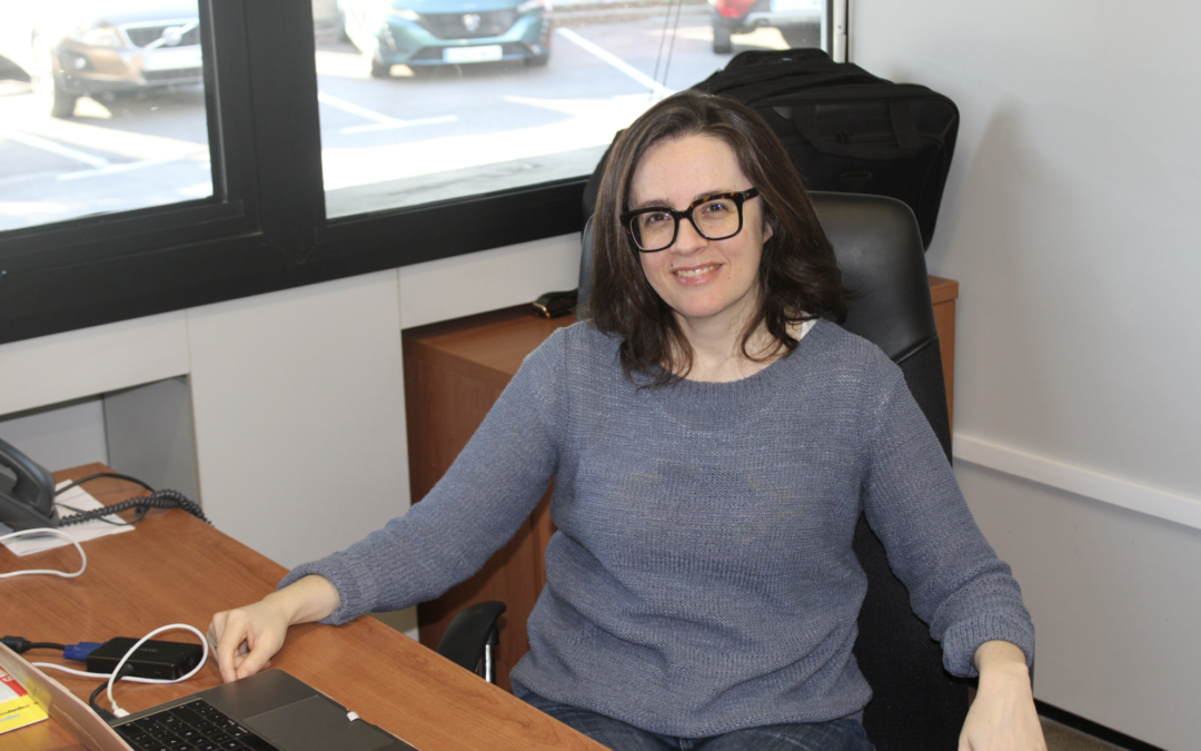 IRTIC’s ChemiNova project will study the deterioration of Europe’s cultural heritage due to climate change and conflicts