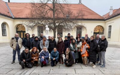 ChemiNova: Advancing Cultural Heritage Conservation at Schönbrunn Palace, Vienna