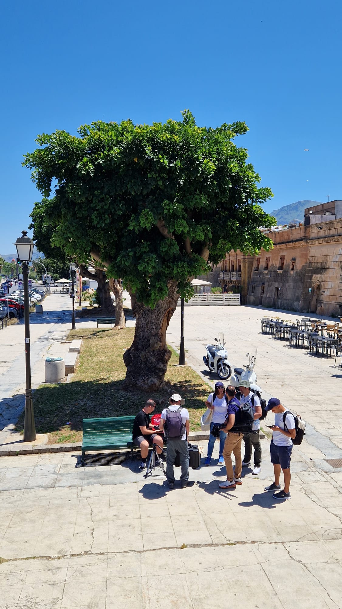 WhatsApp Image 2025-06-05 at 09.57.55