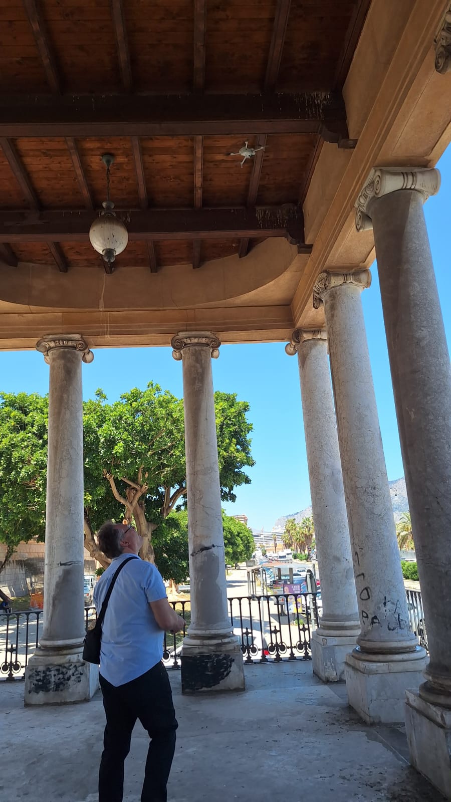 WhatsApp Image 2025-06-05 at 10.00.10